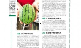 青岛最新吃瓜事件,揭秘背后真相与争议焦点