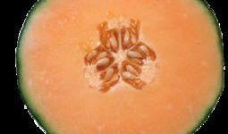 月经期间可以吃哈密瓜吗,月经期间适宜食用哈密瓜吗？