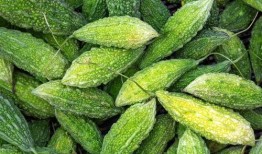 瓜毛怎么吃,解锁独特食材的多样烹饪方法