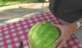 老王杯吃瓜大全,揭秘娱乐圈那些不为人知的幕后故事