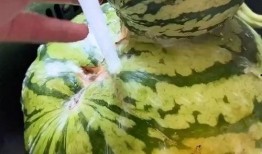 吃瓜视频作品,带你领略网络娱乐的狂欢盛宴