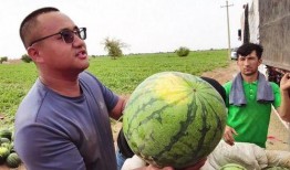 乌鲁木齐博主吃瓜