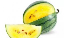 好想吃瓜免费吃瓜,免费畅享好想吃瓜的甜蜜诱惑