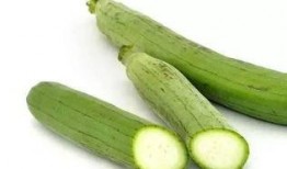 每日吃瓜今日必吃大瓜全网,揭秘全网今日必吃大瓜，精彩瞬间不容错过！