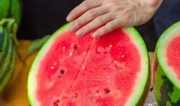 广东学校吃瓜,广东校园瓜果飘香记