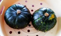 小鱼吃贝贝瓜,一场奇妙的味蕾之旅