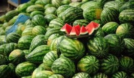 吃酸瓜会发胖吗,吃酸瓜真的会发胖吗？