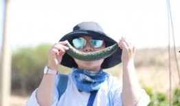 我眼中的吃瓜,一场全民参与的娱乐盛宴