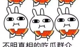 迷糊吃瓜女孩,迷糊吃瓜女孩的欢乐瓜田之旅