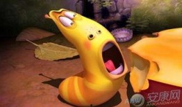 梦见瓜里面都是虫子吃的