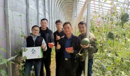 山东卫视吃瓜群众,揭秘娱乐圈幕后故事