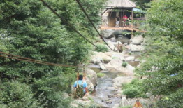 索道拍照吃瓜,见证吃瓜群众的独特视角