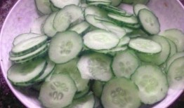 鹏瓜尖怎么吃