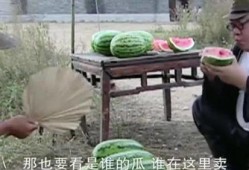 老板送几个瓜吃,共享夏日清凉时光