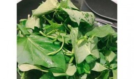 廊坊大城吃瓜,夏日吃瓜盛宴，品味地方特色生活