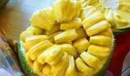 湖州金融圈吃瓜,揭秘吃瓜群众的围观盛宴