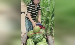 小巨在线吃瓜,揭秘娱乐圈幕后风云