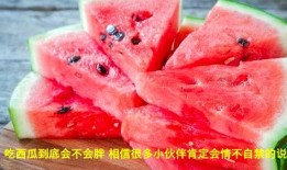 吃瓜视频作品,带你领略网络娱乐的狂欢盛宴