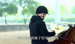 吃瓜看戏的主,吃瓜群众视角下的娱乐圈风云录