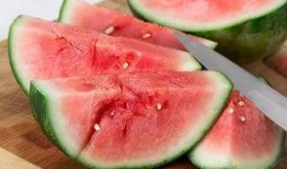 西安广告圈吃瓜,揭秘幕后“吃瓜”大事件