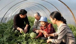 吃瓜源头中国,吃瓜群众的起源与演变
