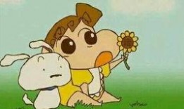 小葵在线吃瓜,揭秘娱乐圈幕后故事