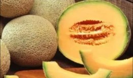康熙吃哈密瓜,揭秘哈密瓜的宫廷传奇