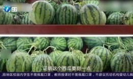 吃瓜视频作品,带你领略网络娱乐的狂欢盛宴