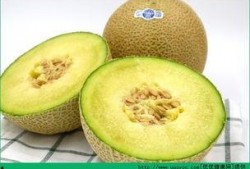 宝宝秋天吃哈密瓜,哈密瓜的甜蜜滋养之旅”