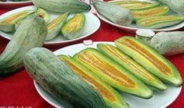 酥瓜炒着吃,美味佳肴尽享舌尖盛宴