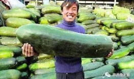 最近吃瓜的人,揭秘明星幕后故事