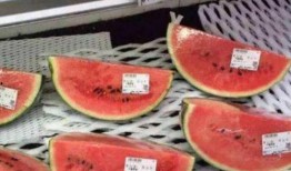 网络吃瓜售卖,揭秘瓜圈售卖背后的秘密