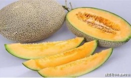 支架患者能否吃哈密瓜,支架术后患者哈密瓜食用指南