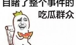 吃瓜群众踢足球,激情四溢的绿茵战场