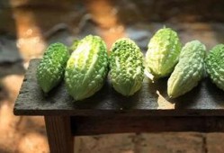 洁洁吃瓜,揭秘娱乐圈幕后故事