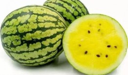 extra吃瓜,娱乐圈幕后真相大曝光