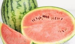 吃瓜恶心肚子,揭秘瓜类食物的神奇效应