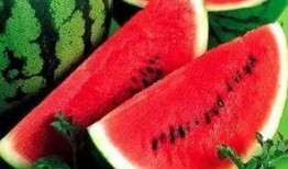 吃瓜高人,网络舆论场中的观察者与传播者