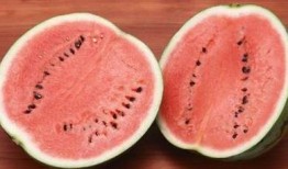 吃瓜幸福花园,揭秘瓜果飘香中的美好生活画卷