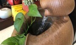 象州县吃瓜,品味乡愁，畅享清凉