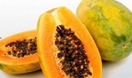 梦见吃自己买的瓜