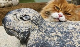 吃瓜房子塌了图片,揭秘“房子塌了”背后的真相