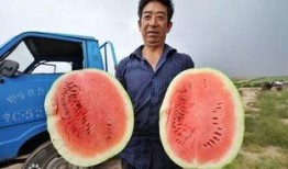 带你吃瓜中国李宁