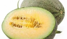 吃瓜不知种瓜甜