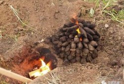 赤峰锦山吃瓜,清凉一夏，尽享瓜果飘香