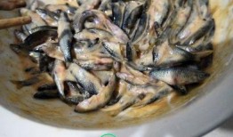 小鱼吃贝贝瓜,一场奇妙的味蕾之旅