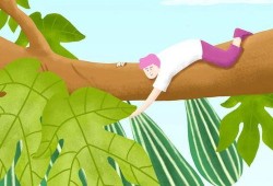 健康吃瓜指南大全,全方位解析瓜果营养与食用技巧