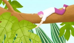 健康吃瓜指南大全,全方位解析瓜果营养与食用技巧