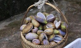 福州永泰吃瓜,一场别开生面的吃瓜之旅