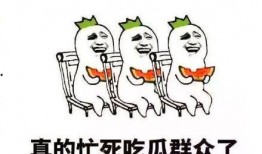 吃瓜群众的作用,社会舆论的推手与风向标